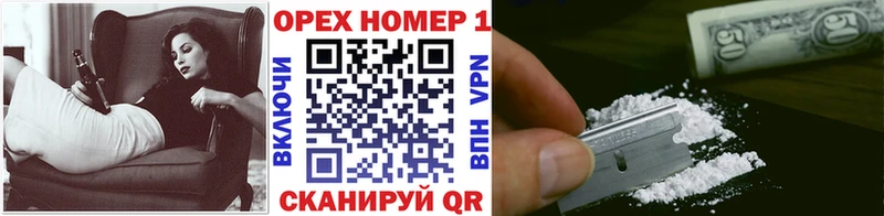 Кокаин Боливия Находка