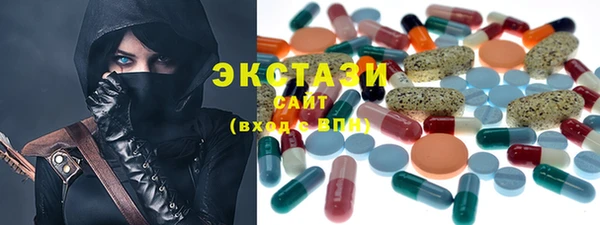 спиды Ельня