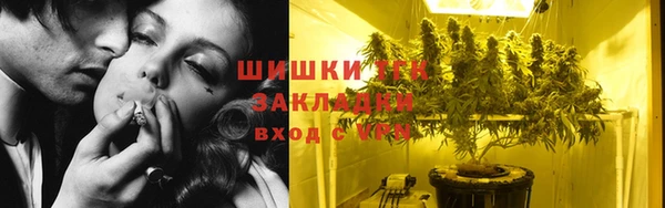 спиды Ельня