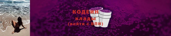 спиды Ельня