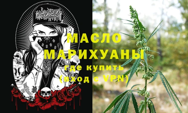 спиды Ельня